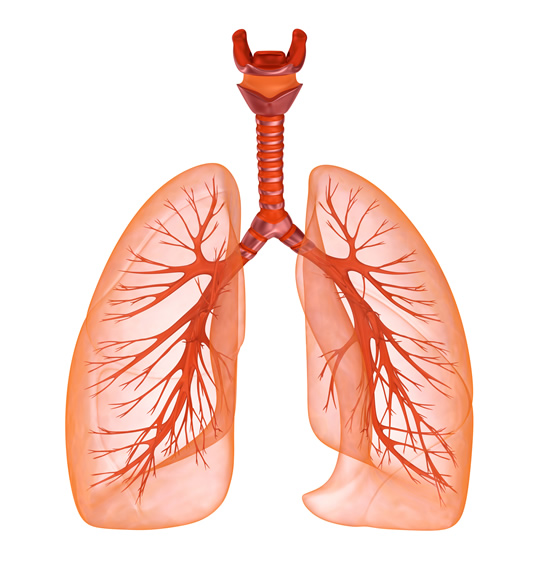Bösartige Erkrankungen der Lunge